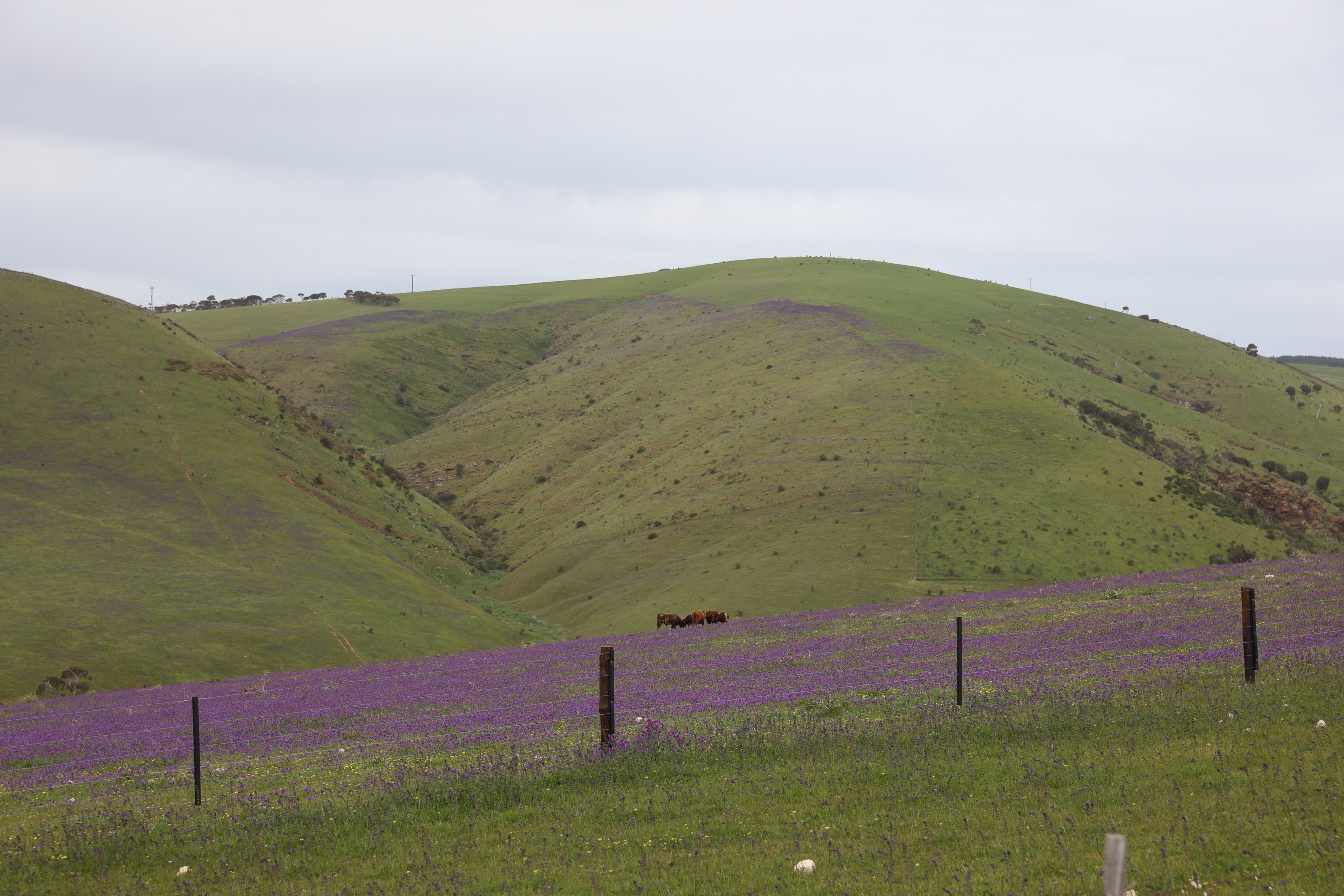 2019 09 28 14 56 20 Canon EOS 5D Mark IV 0028